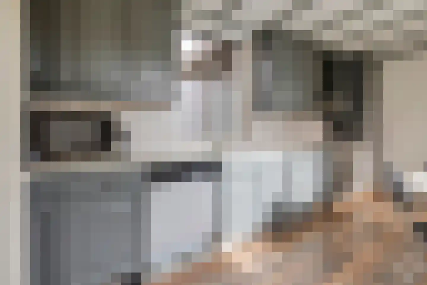 Reigerstraat 42 Tilburg thumbnail 23