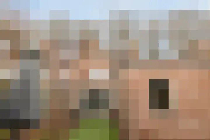 Reigerstraat 42 Tilburg thumbnail 45
