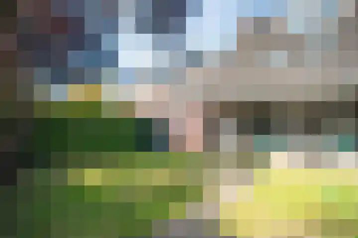 Reigerstraat 43 Ommen thumbnail 39