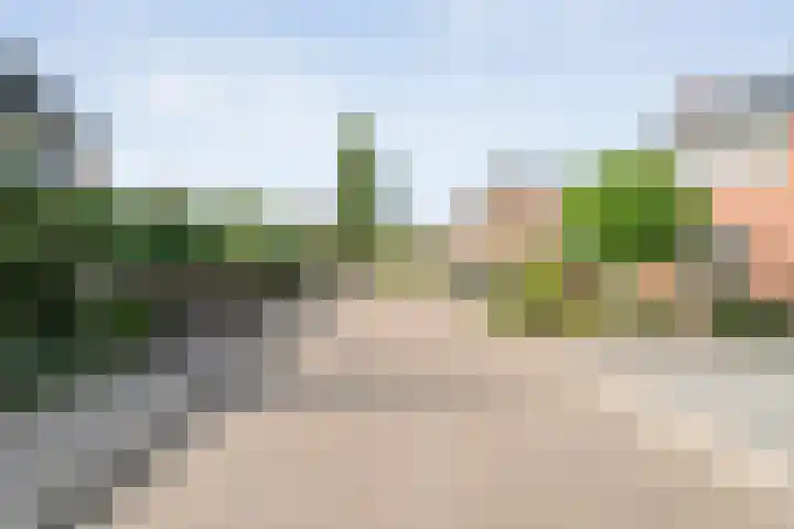 Reigerstraat 43 Ommen thumbnail 41