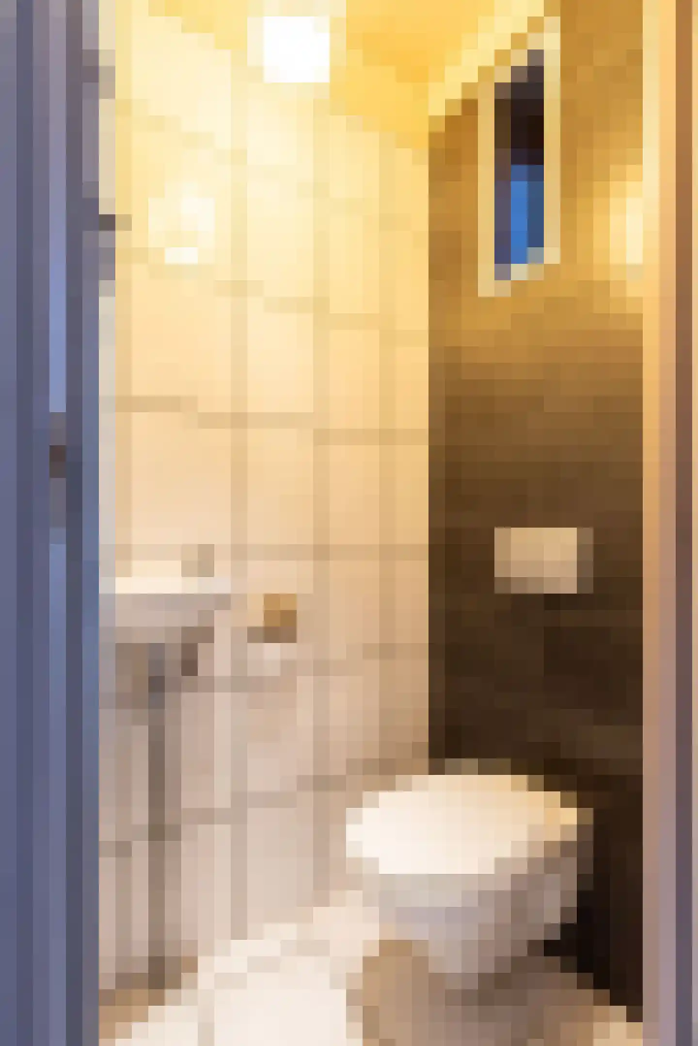 Reigerstraat 44 Tilburg thumbnail 14