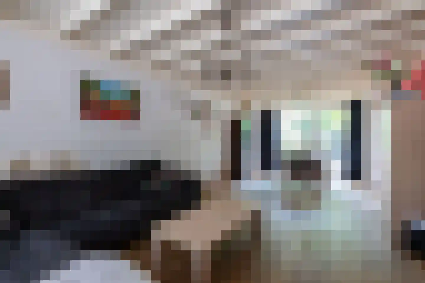 Reigerstraat 44 Tilburg thumbnail 15