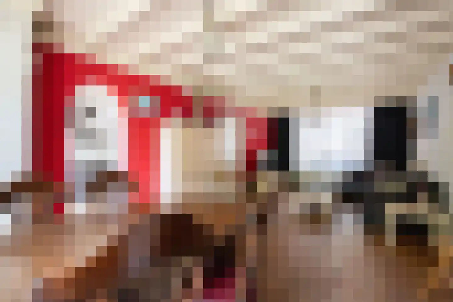 Reigerstraat 44 Tilburg thumbnail 17