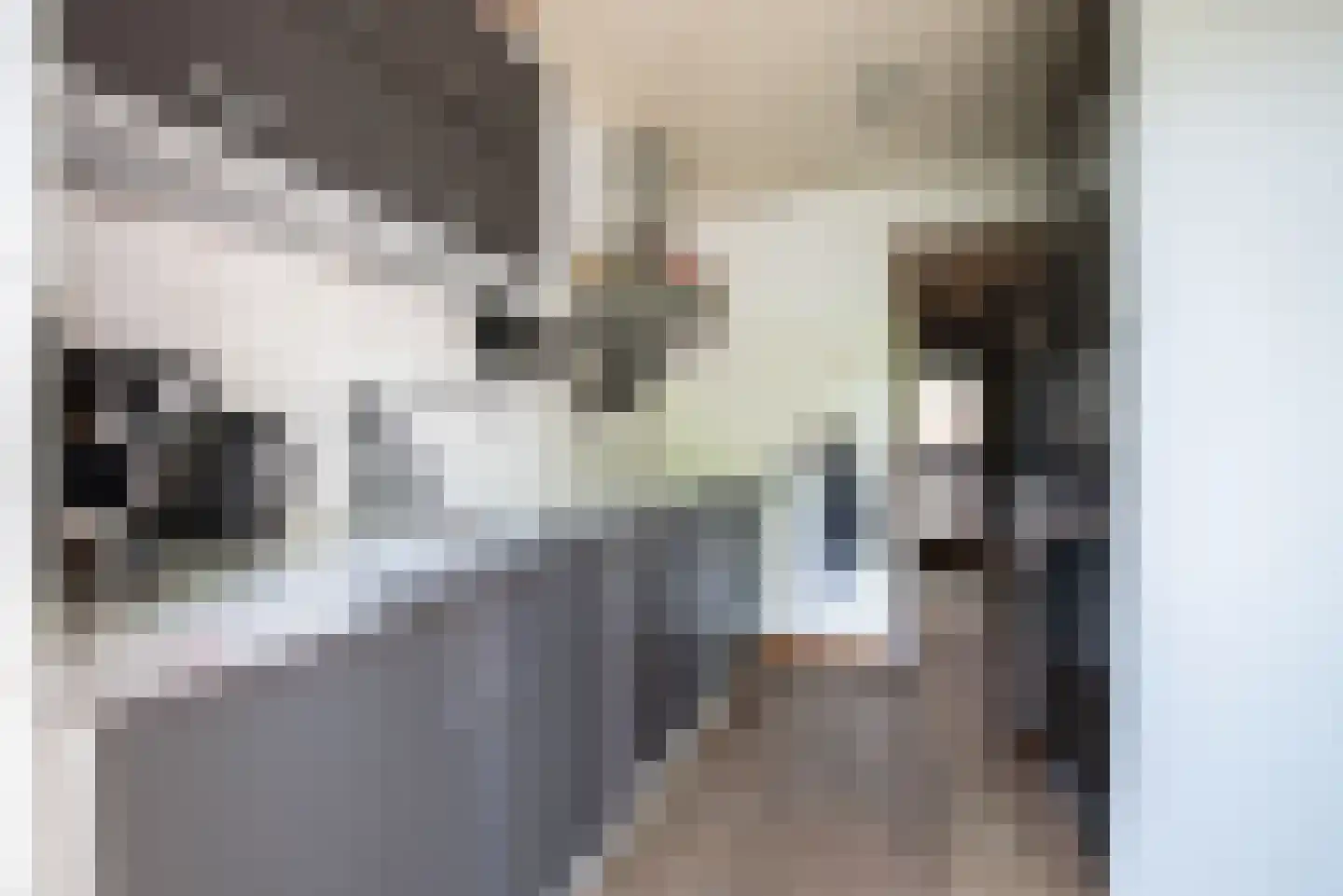 Reigerstraat 44 Tilburg thumbnail 21