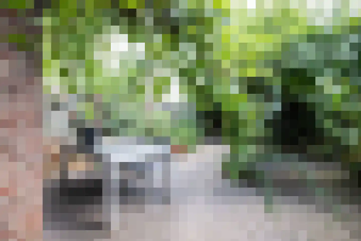 Reigerstraat 44 Tilburg thumbnail 22