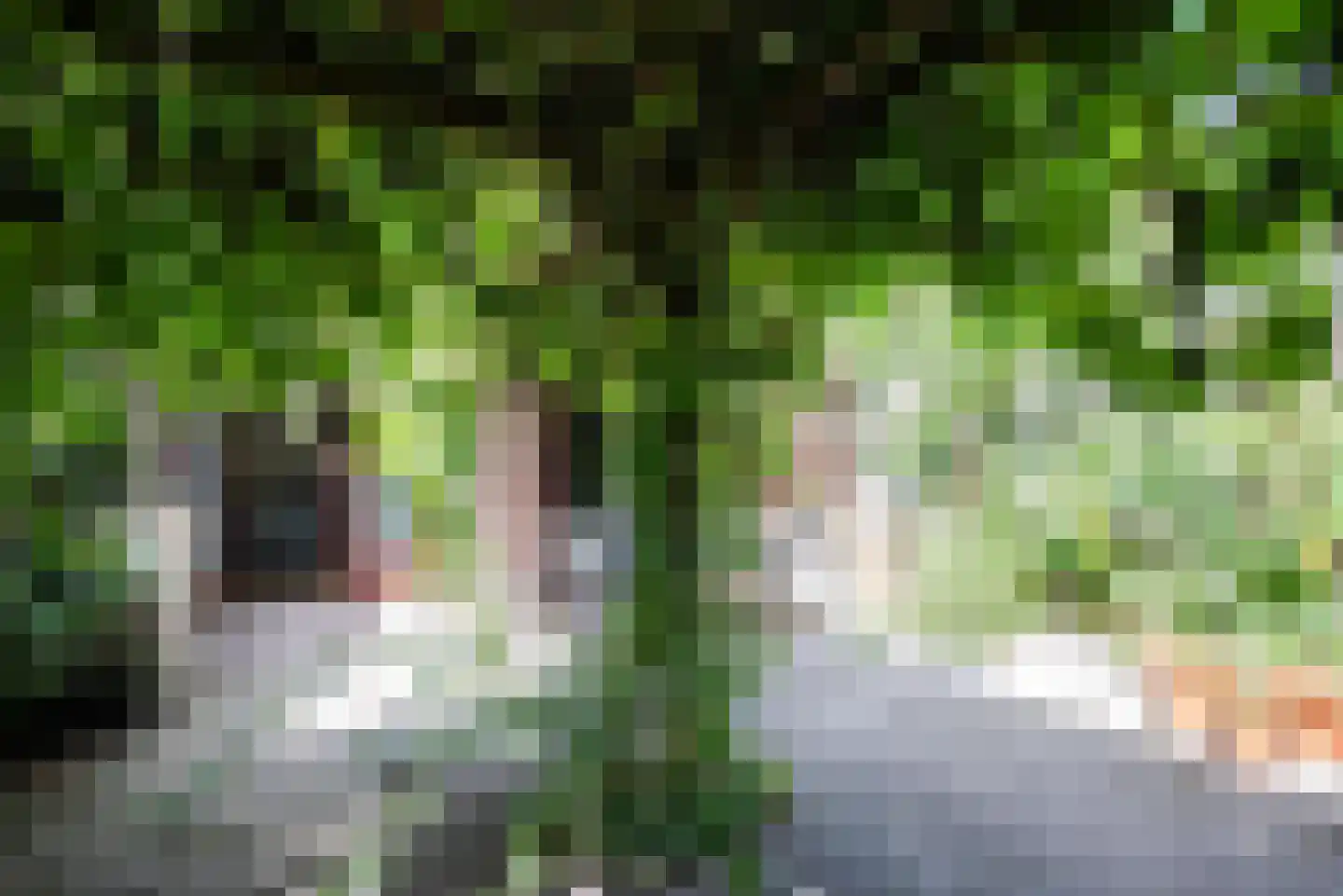 Reigerstraat 44 Tilburg thumbnail 24