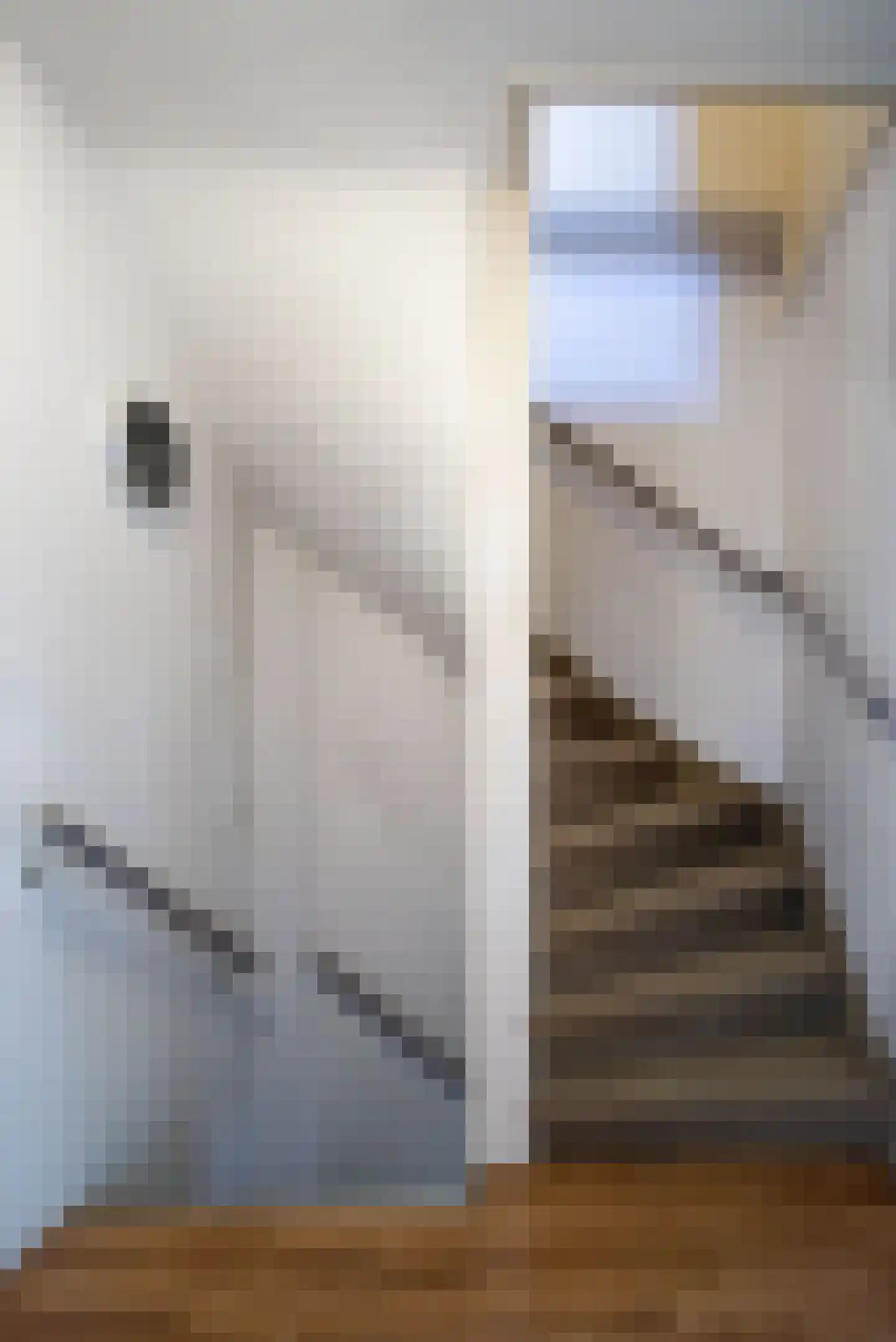 Reigerstraat 44 Tilburg thumbnail 30