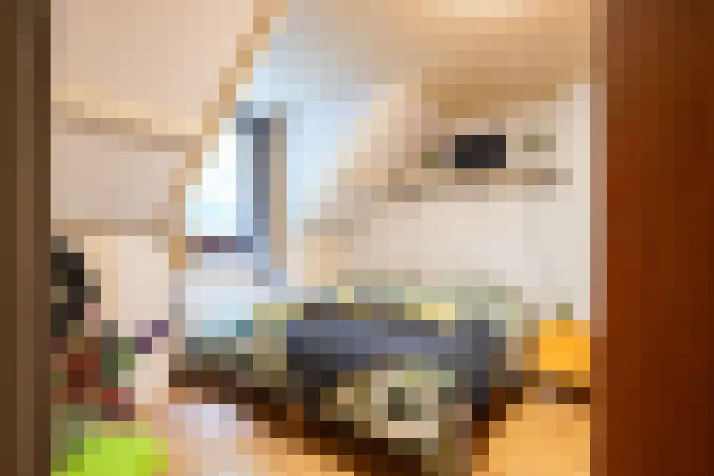 Reigerstraat 44 Tilburg thumbnail 39