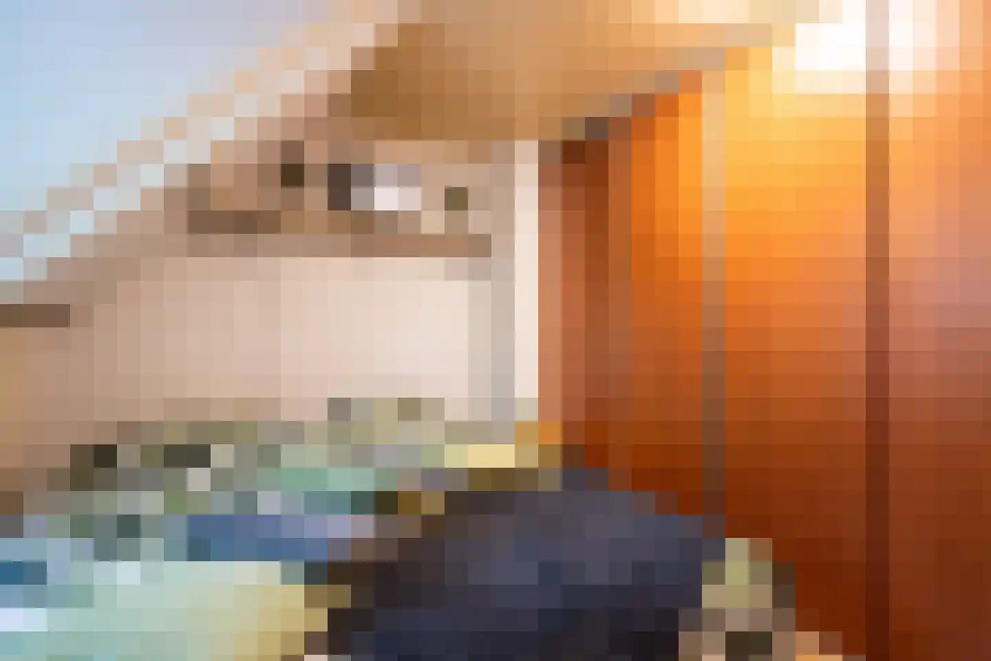 Reigerstraat 44 Tilburg thumbnail 40