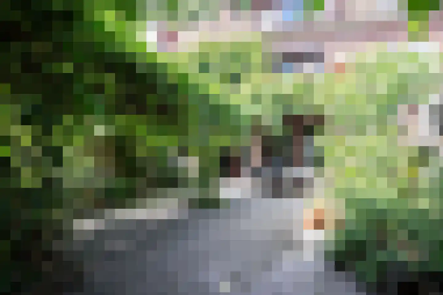 Reigerstraat 44 Tilburg thumbnail 5