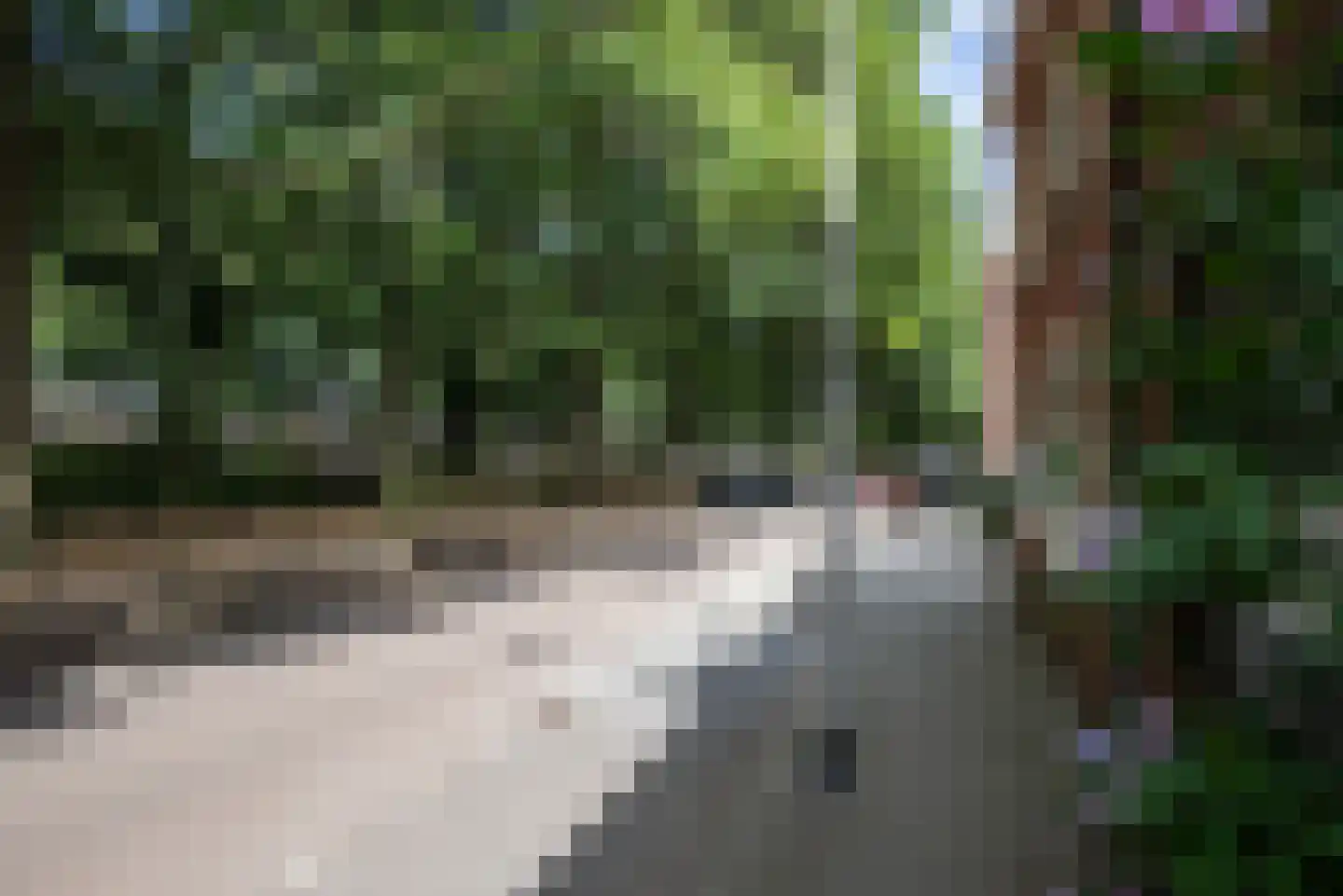 Reigerstraat 44 Tilburg thumbnail 8