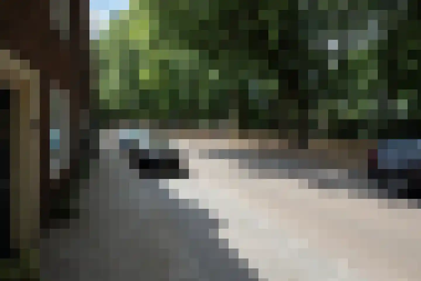 Reigerstraat 44 Tilburg thumbnail 9