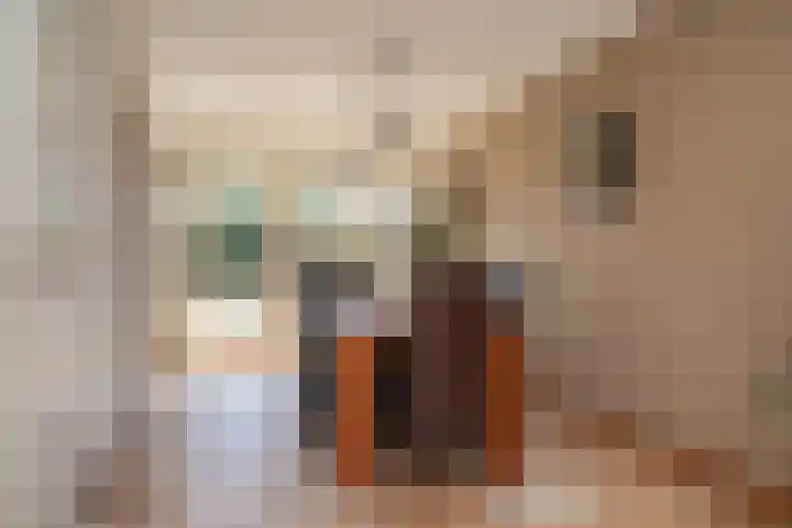 Reigerstraat 45 Beneden-Leeuwen thumbnail 10