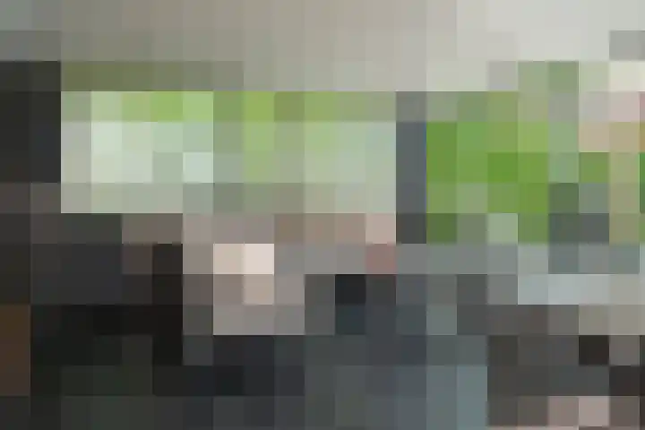 Reigerstraat 45 Beneden-Leeuwen thumbnail 31