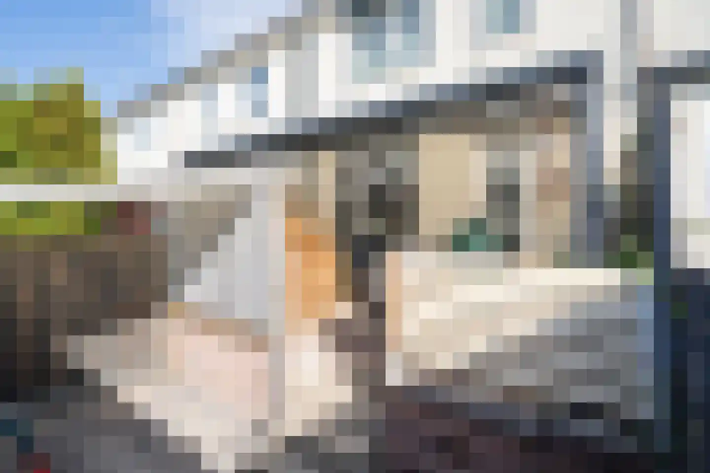 Reigerstraat 47 Dordrecht thumbnail 26
