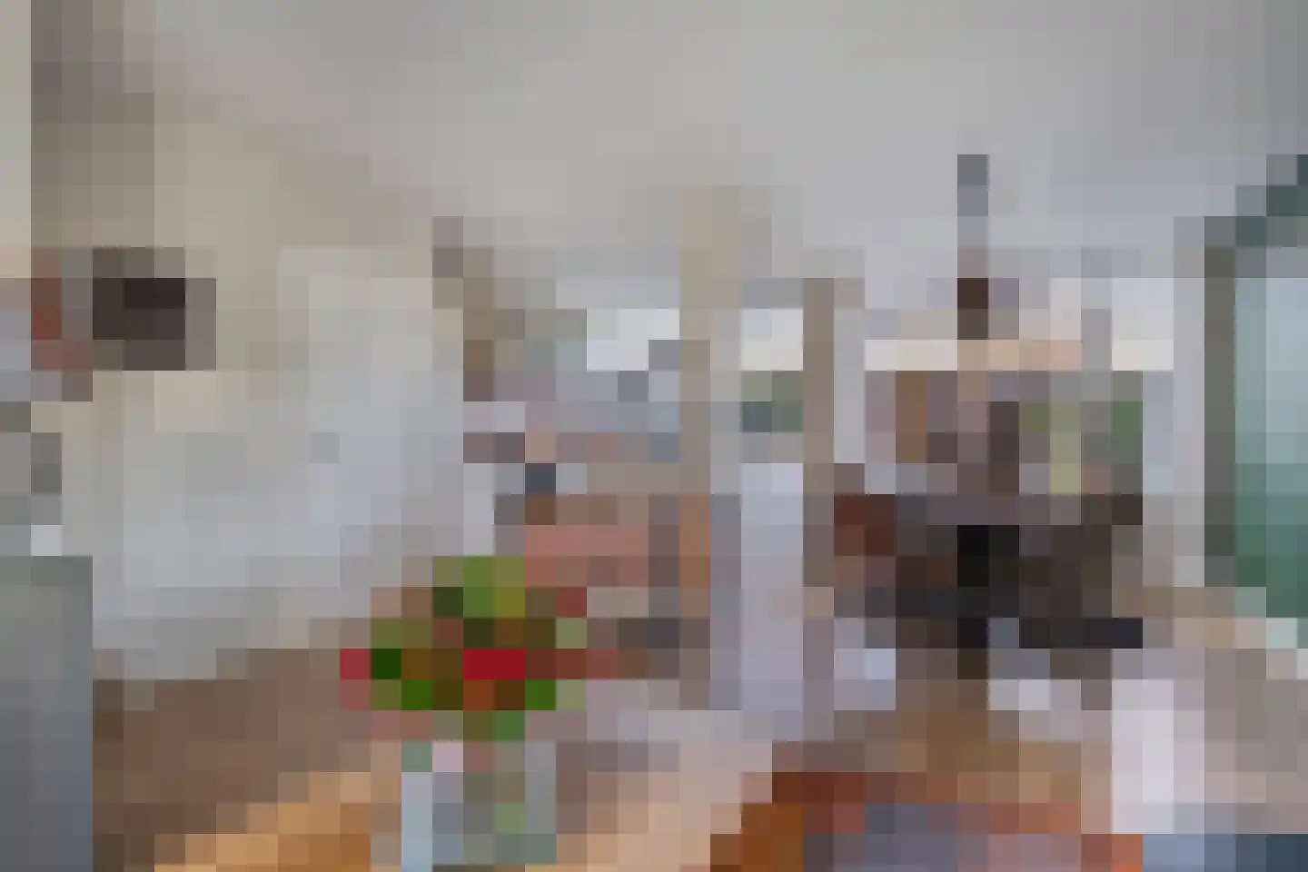 Reigerstraat 5 Ermelo thumbnail 10
