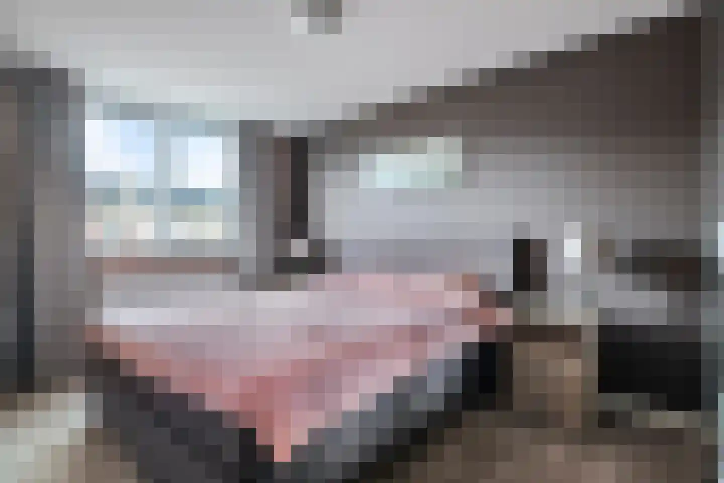 Reigerstraat 5 Ermelo thumbnail 18