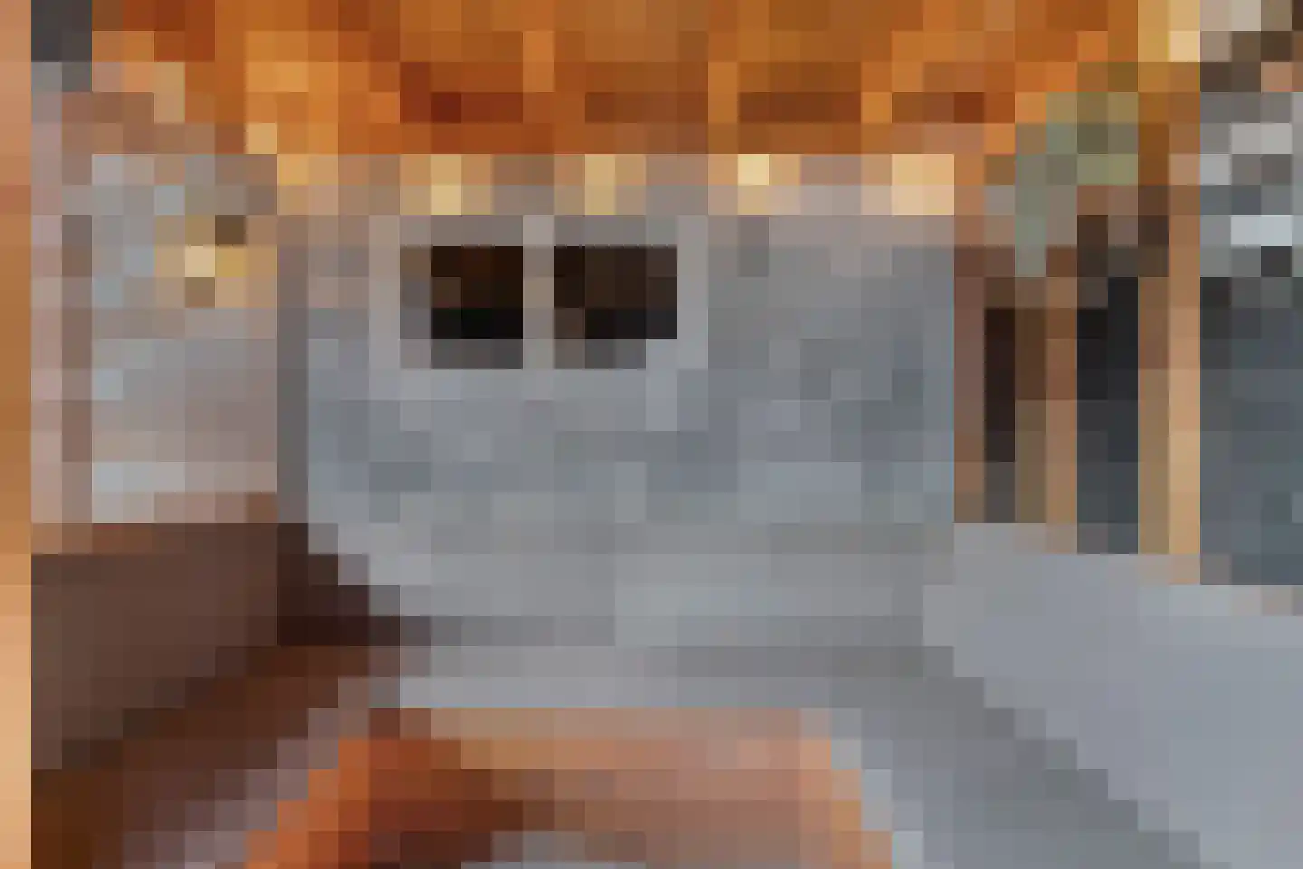 Reigerstraat 5 Ermelo thumbnail 36