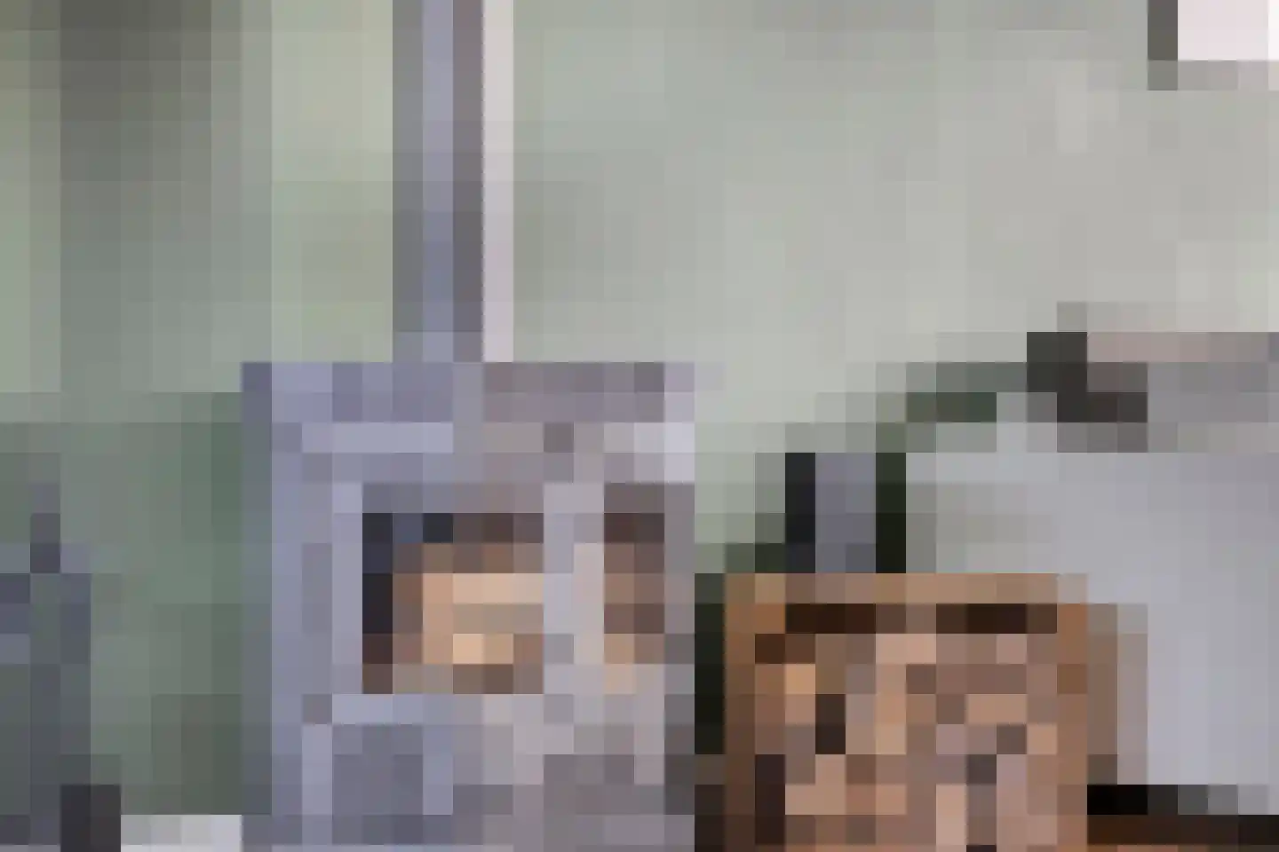 Reigerstraat 5 Ermelo thumbnail 9
