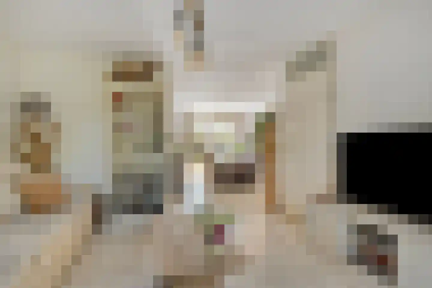 Reigerstraat 5 Goes thumbnail 10