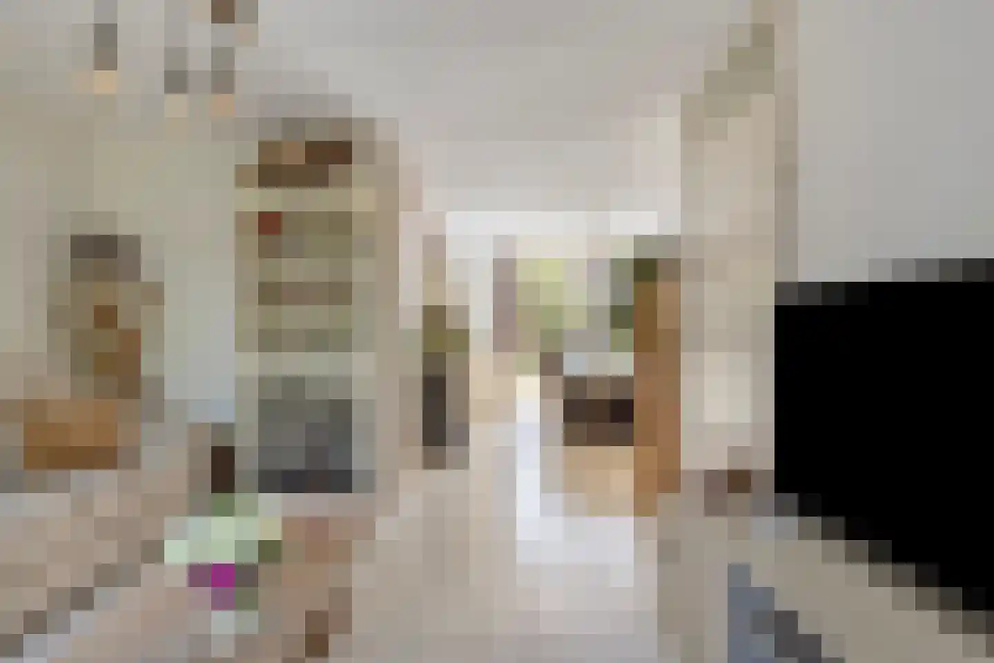 Reigerstraat 5 Goes thumbnail 11