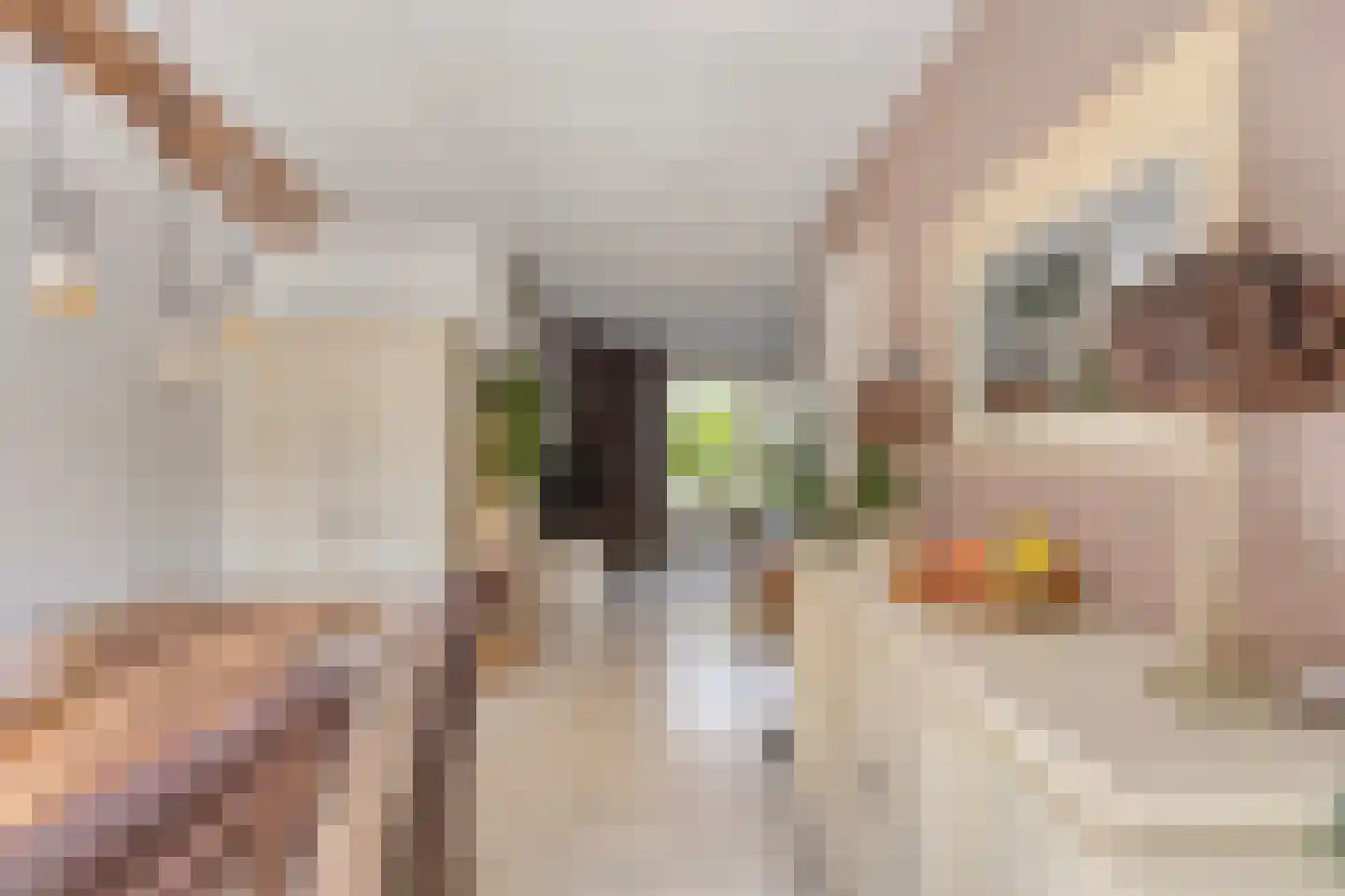 Reigerstraat 5 Goes thumbnail 12