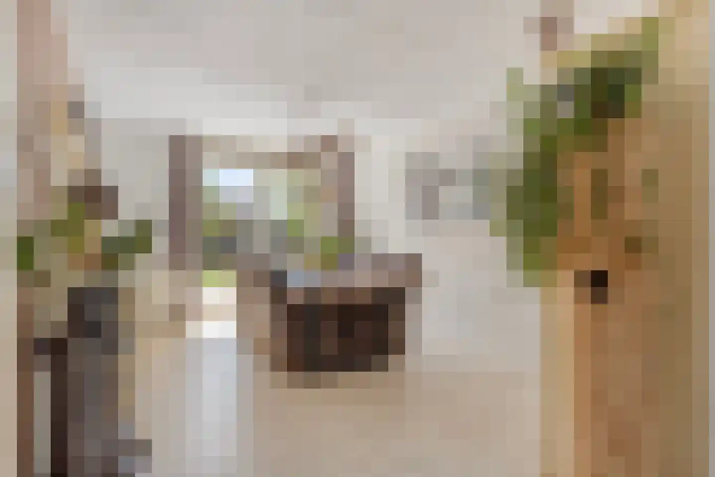 Reigerstraat 5 Goes thumbnail 14