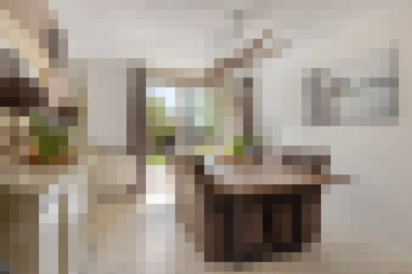 Reigerstraat 5 Goes thumbnail 15