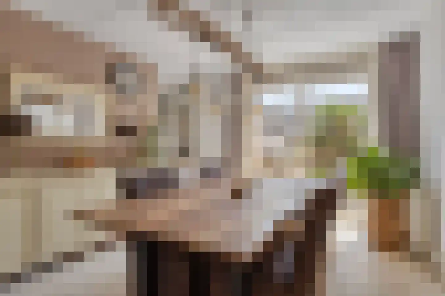 Reigerstraat 5 Goes thumbnail 16