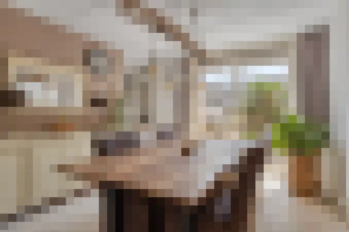 Reigerstraat 5 Goes thumbnail 17