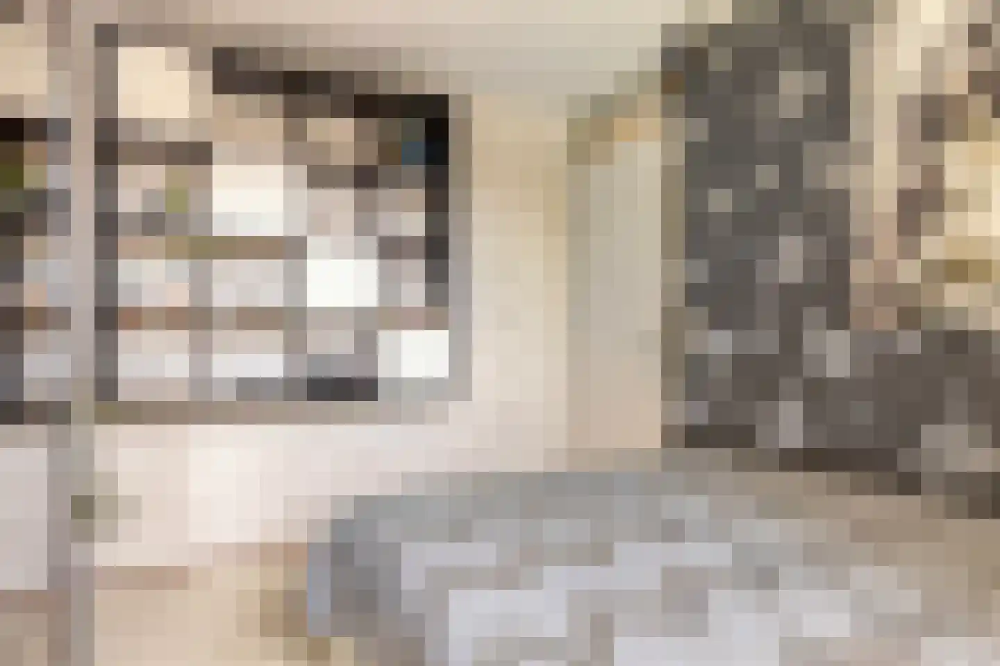 Reigerstraat 5 Goes thumbnail 28