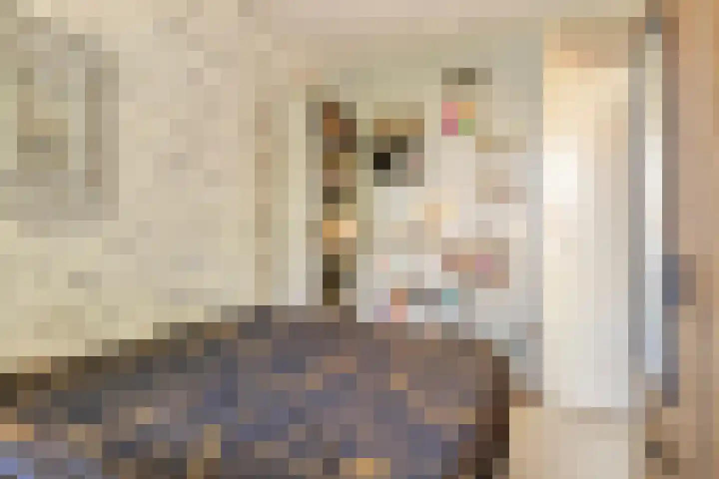 Reigerstraat 5 Goes thumbnail 31
