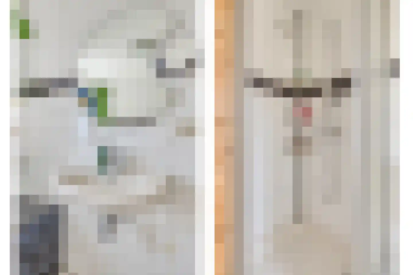 Reigerstraat 5 Goes thumbnail 33