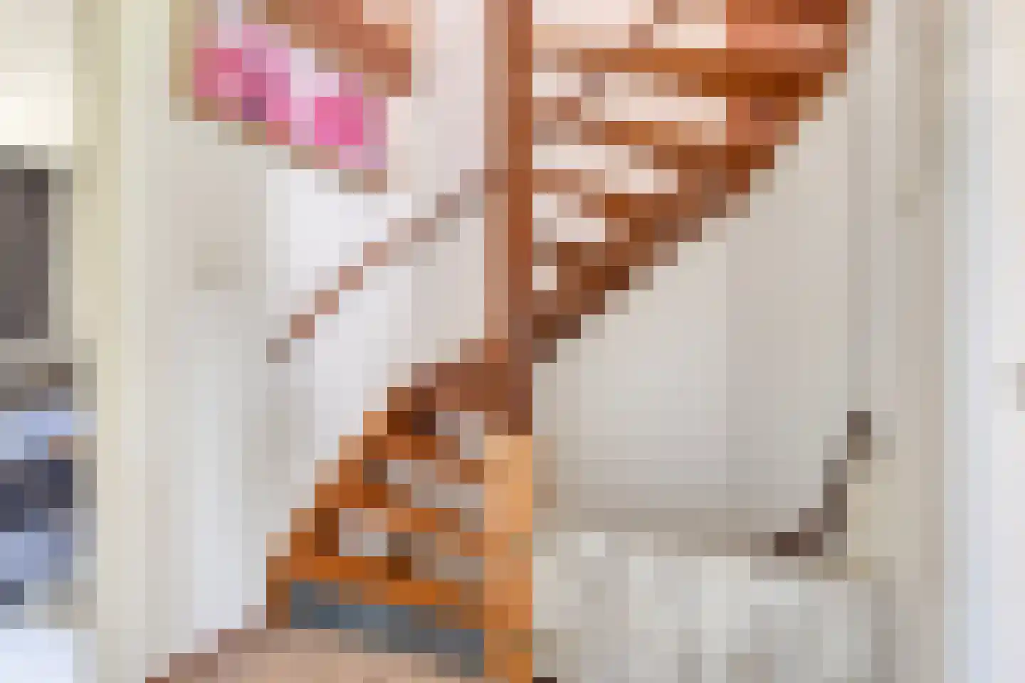 Reigerstraat 5 Goes thumbnail 33