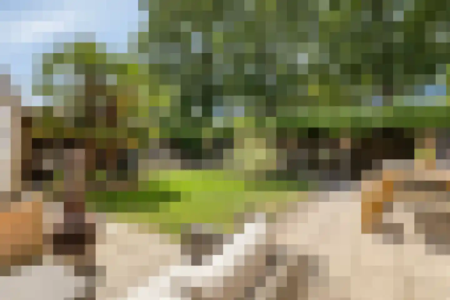 Reigerstraat 5 Goes thumbnail 4