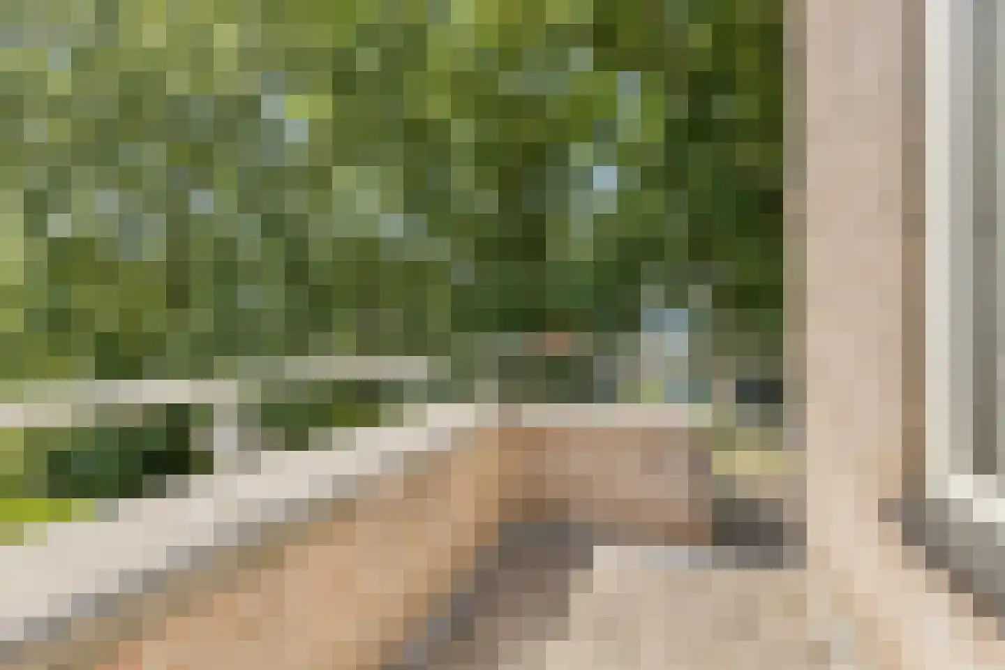 Reigerstraat 5 Goes thumbnail 41