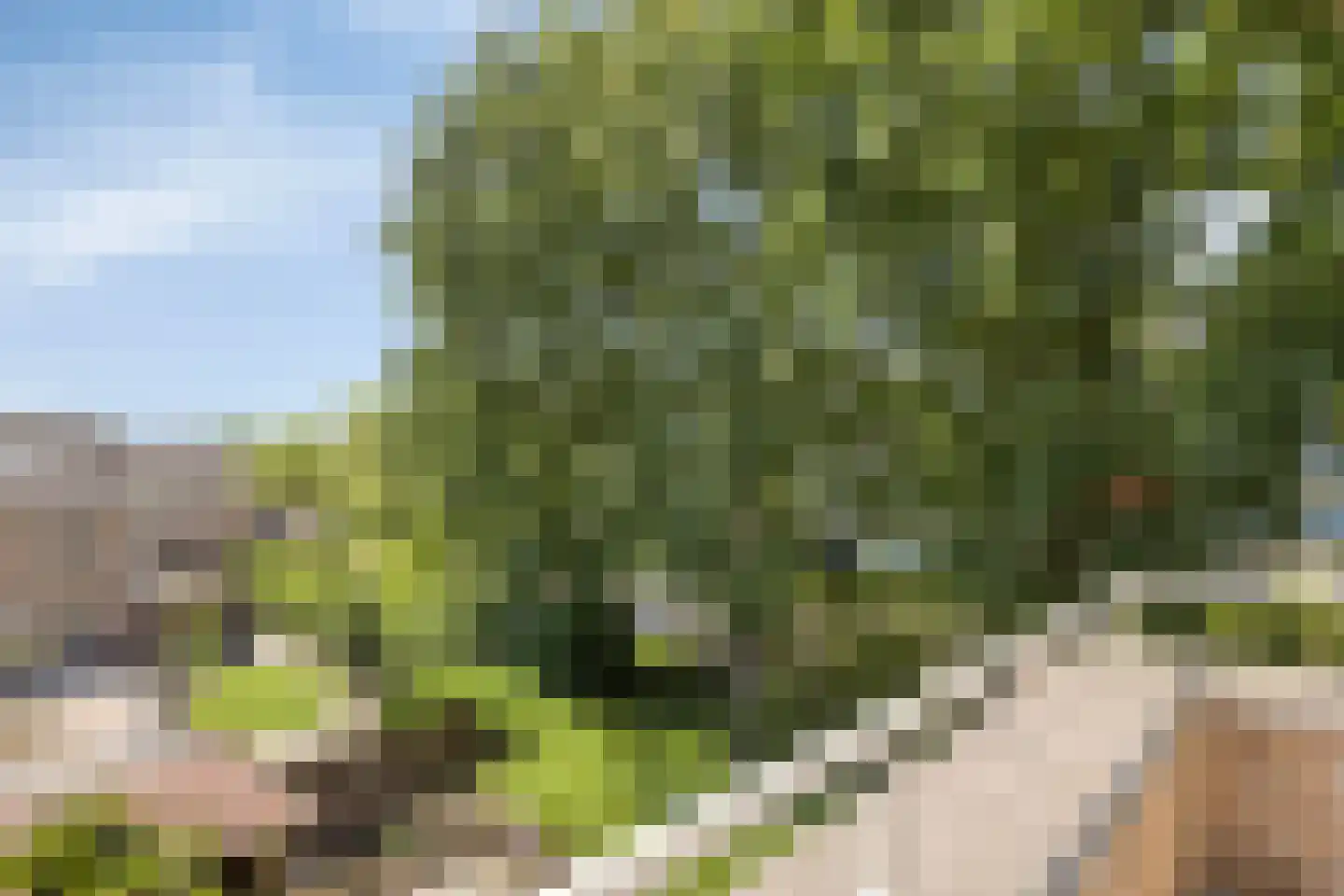 Reigerstraat 5 Goes thumbnail 42