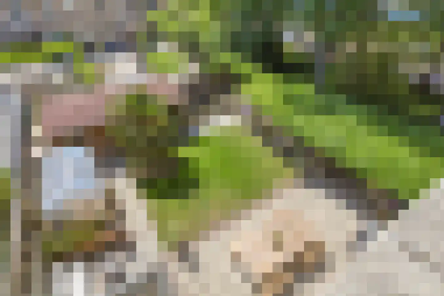 Reigerstraat 5 Goes thumbnail 43