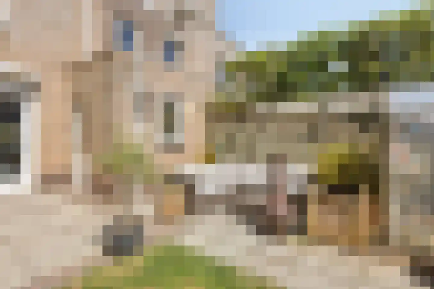 Reigerstraat 5 Goes thumbnail 49