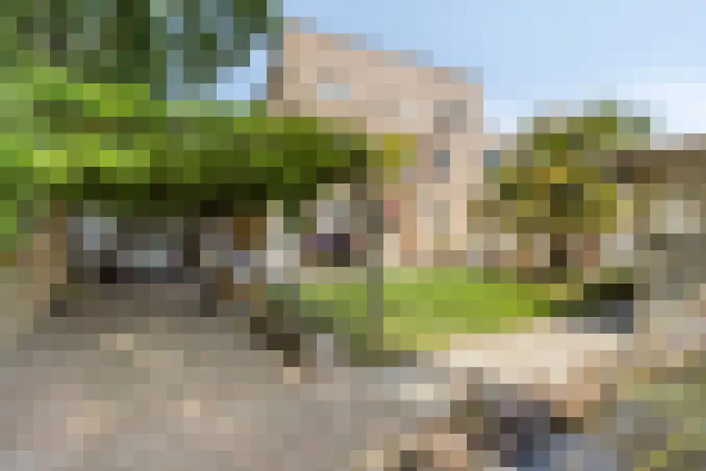 Reigerstraat 5 Goes thumbnail 50