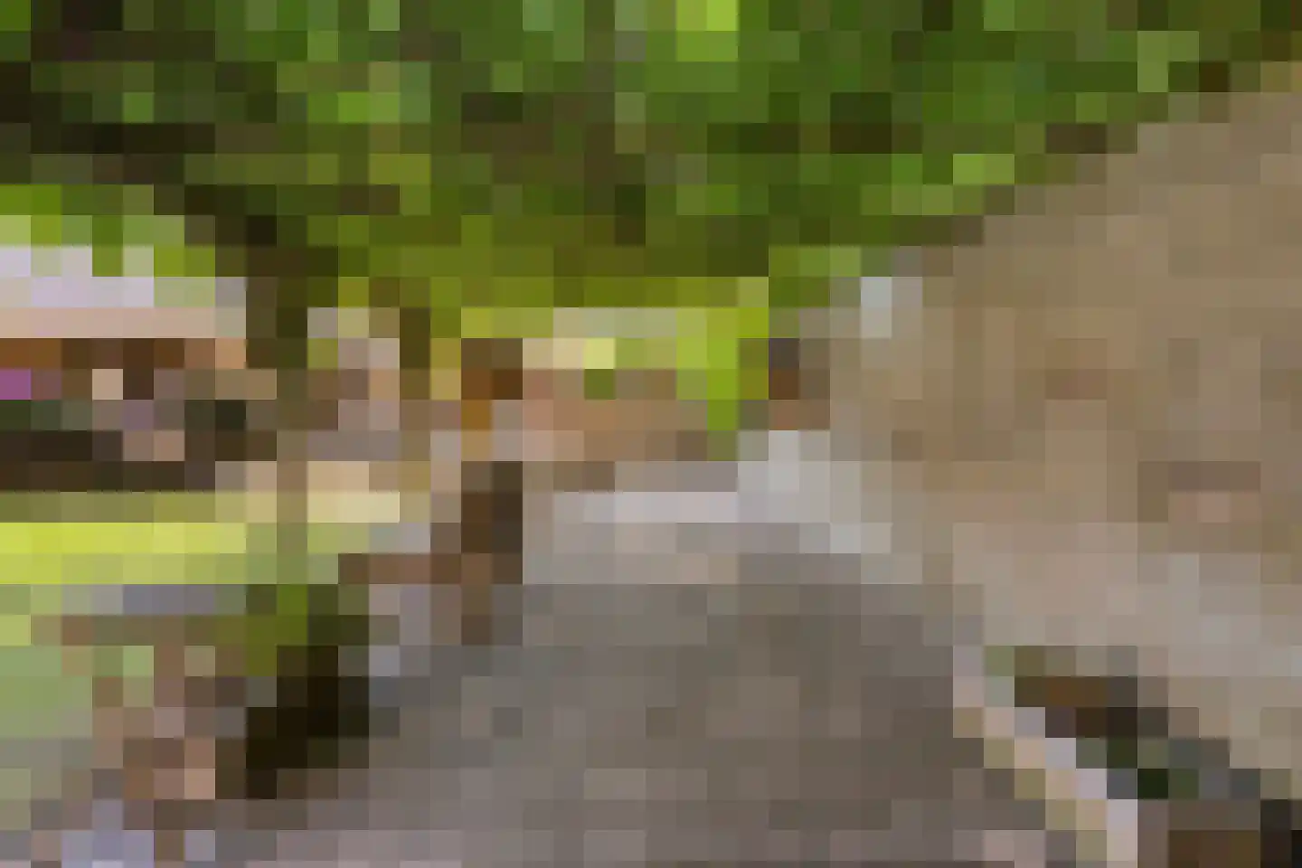 Reigerstraat 5 Goes thumbnail 51
