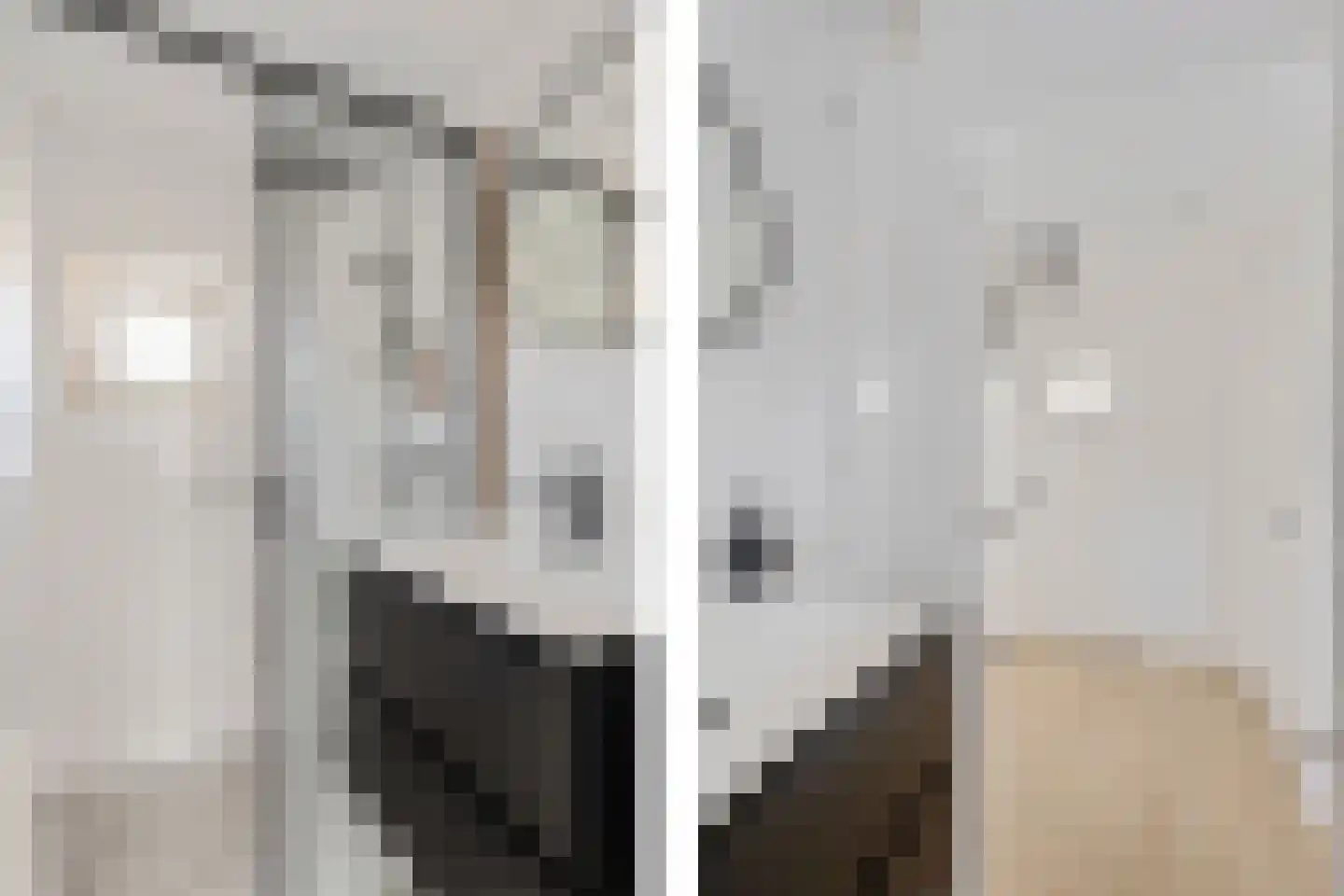 Reigerstraat 5 Grou thumbnail 39