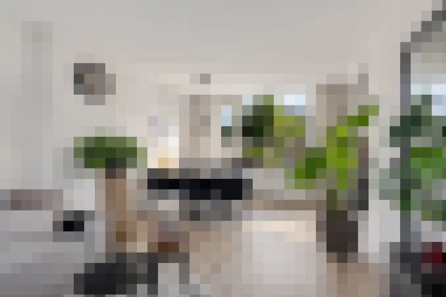 Reigerstraat 5 Grou thumbnail 4