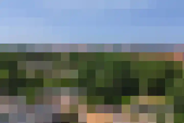 Reigerstraat 5 Katwijk thumbnail 41