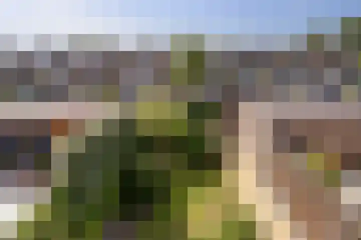 Reigerstraat 5 Katwijk thumbnail 8