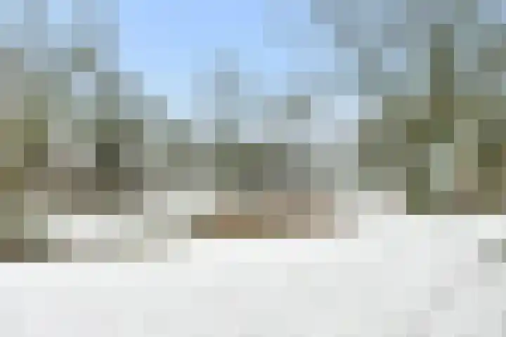 Reigerstraat 52 Hardenberg thumbnail 42