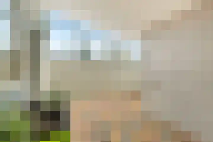 Reigerstraat 52 Hardenberg thumbnail 9