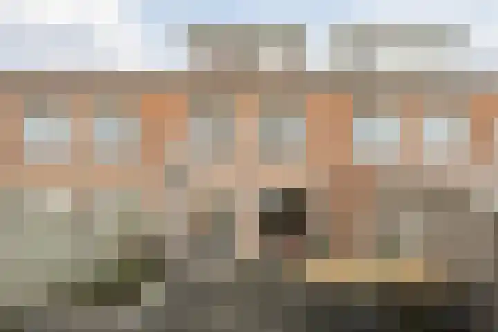 Reigerstraat 58 Piershil thumbnail 40