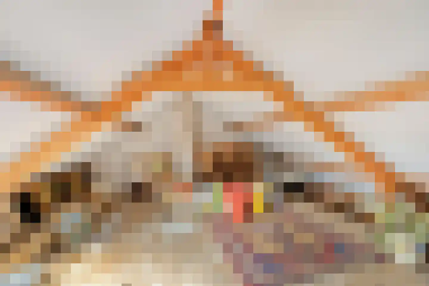 Reigerstraat 6 Goor thumbnail 19