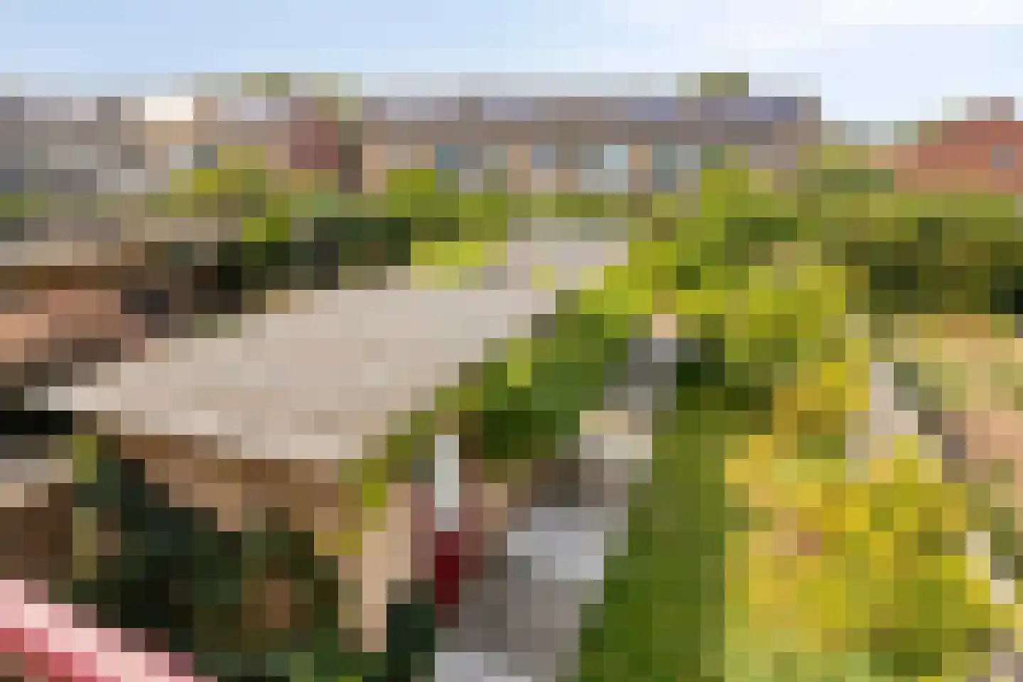 Reigerstraat 6 Goor thumbnail 20